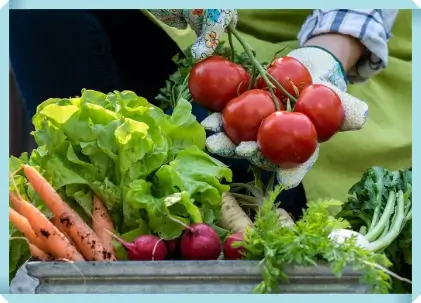 환경 보호를 위한 식물 기반 식품 선택