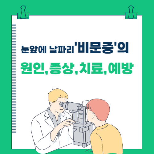  눈앞에 날아다니는 날파리 '비문증' 원인, 증상, 치료 및 예방법