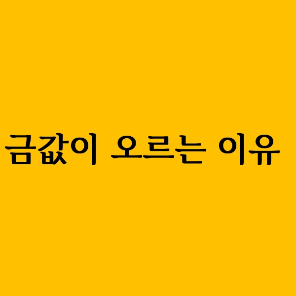  금값이 오르는 이유는?