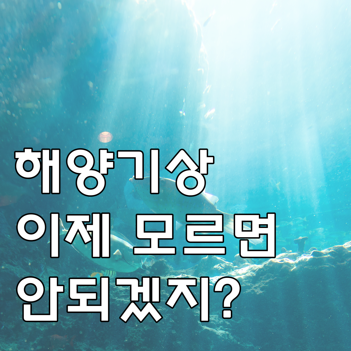 해양기상