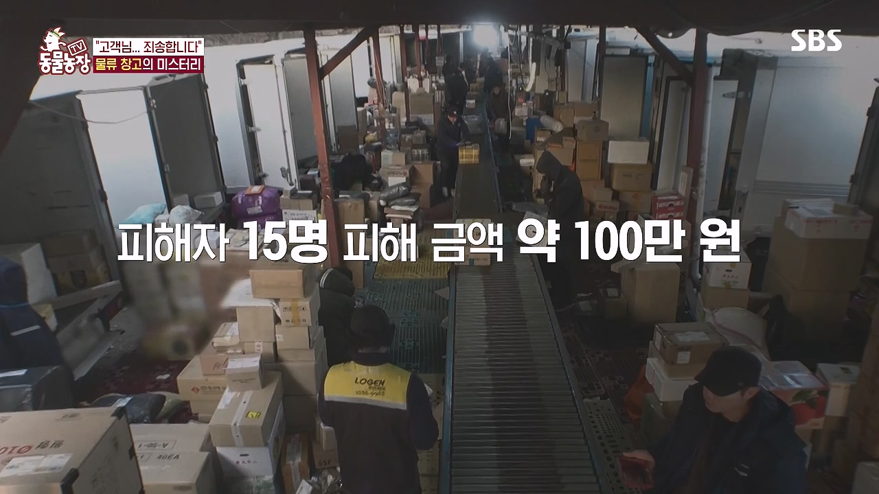 TV 동물농장.E1153.240108p-NEXT.mp4_20240107_173818.528.jpg