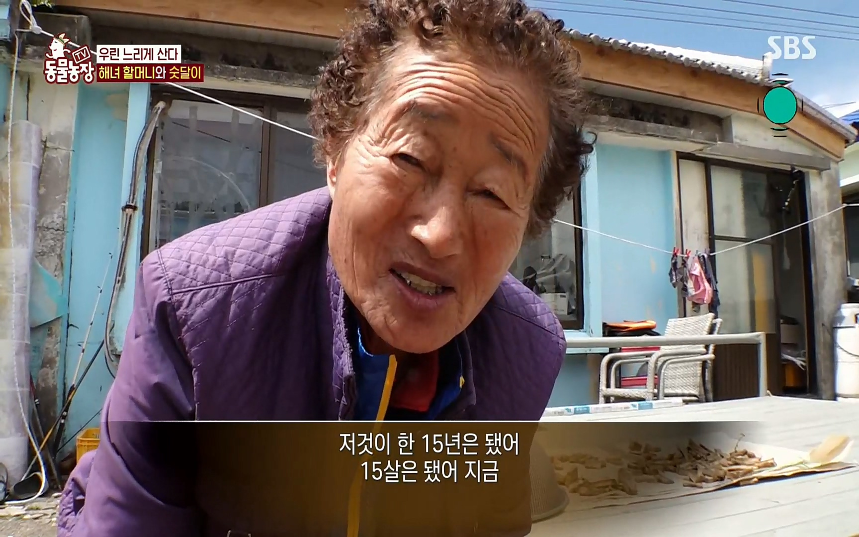 TV 동물농장.E1073.220612p.H264-F1RST.mp4_20220612_180455.191.jpg