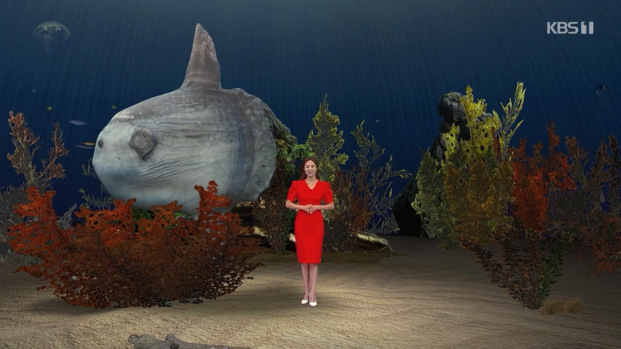 생로병사의 비밀.E879.230817p-NEXT.mp4_20230817_205227.357.jpg