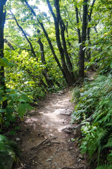 한국 명산 강원 원주 여행 치악산 등산 mountain hiking