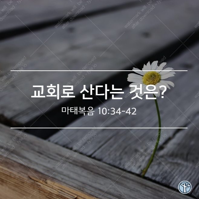  교회로 산다는 것은? / 마 10:34-42