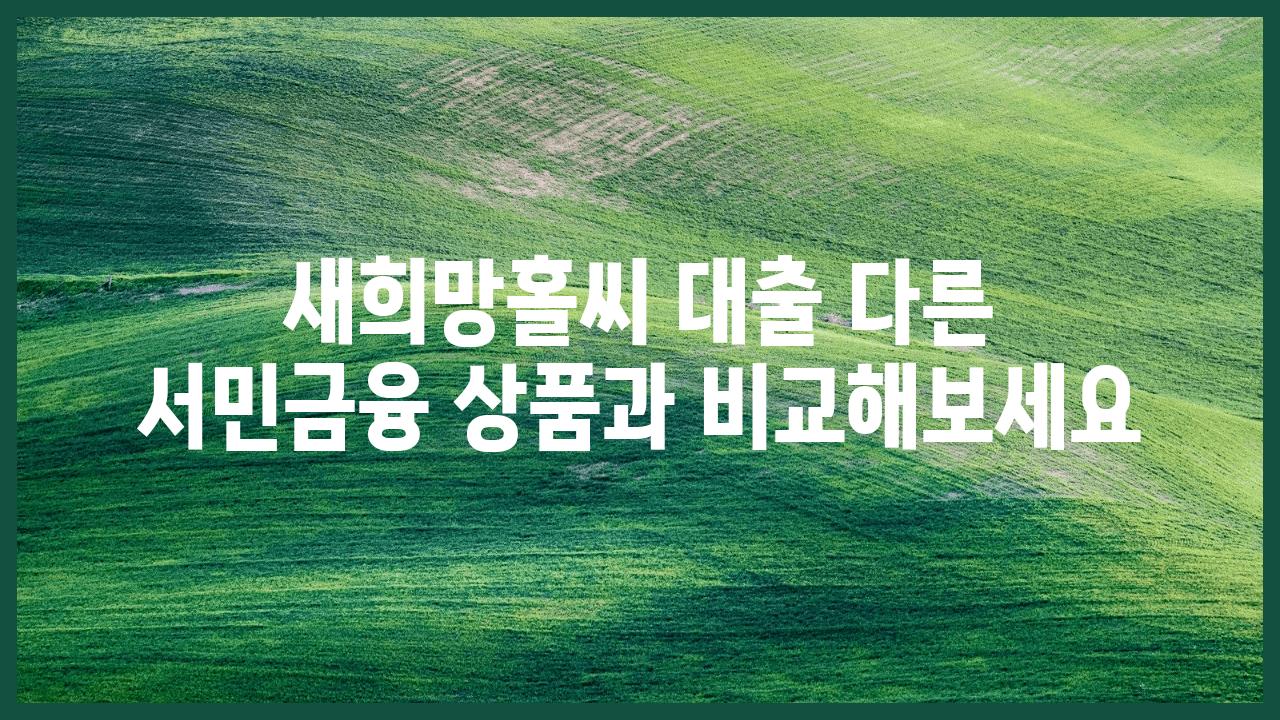 새희망홀씨 대출 다른 서민금융 제품과 비교해보세요