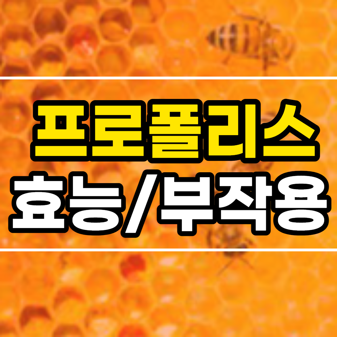  프로폴리스 효능 10가지 및 부작용