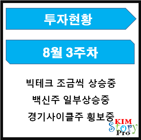  8월 3주차 투자현황