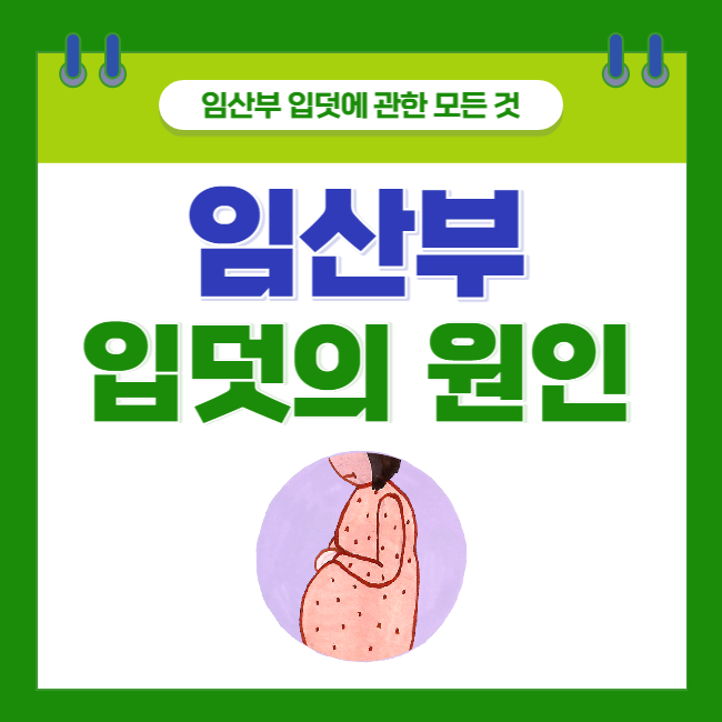  [임산부 입덧에 관한 모든 것] 입덧의 원인부터 제대로 알자