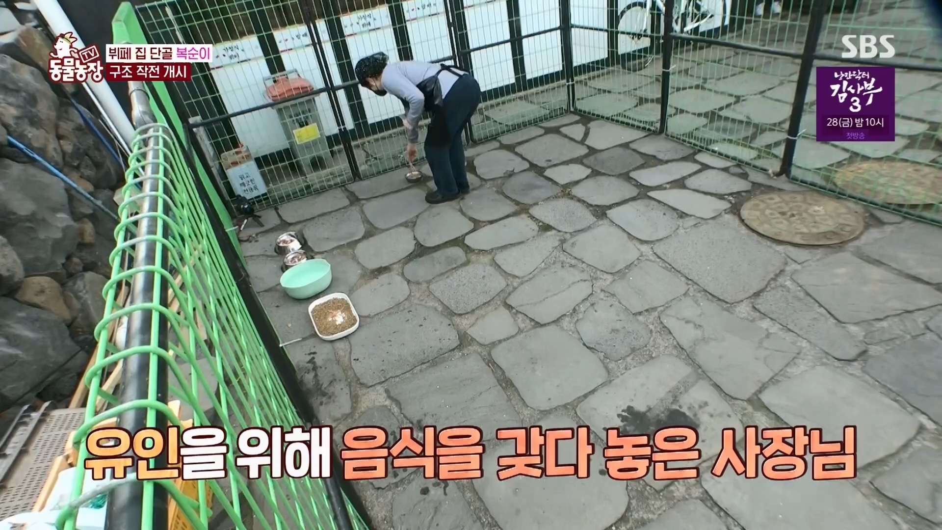 TV 동물농장.E1116.230416p.H264-F1RST.mp4_20230418_194202.708.jpg