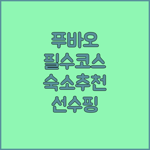푸바오 만나러 가는 길, 놓치지 마세