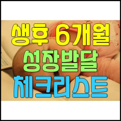  생후 6개월 아기 성장 발달 점검 체크리스트
