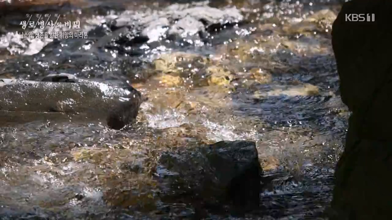 생로병사의 비밀.E878.230803p-NEXT.mp4_20230805_155640.086.jpg