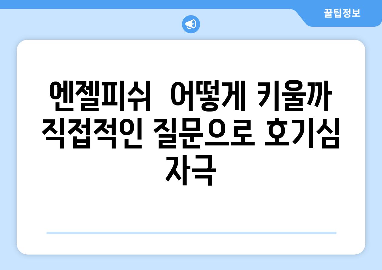 엔젤피쉬,  어떻게 키울까? (직접적인 질문으로 호기심 자극)