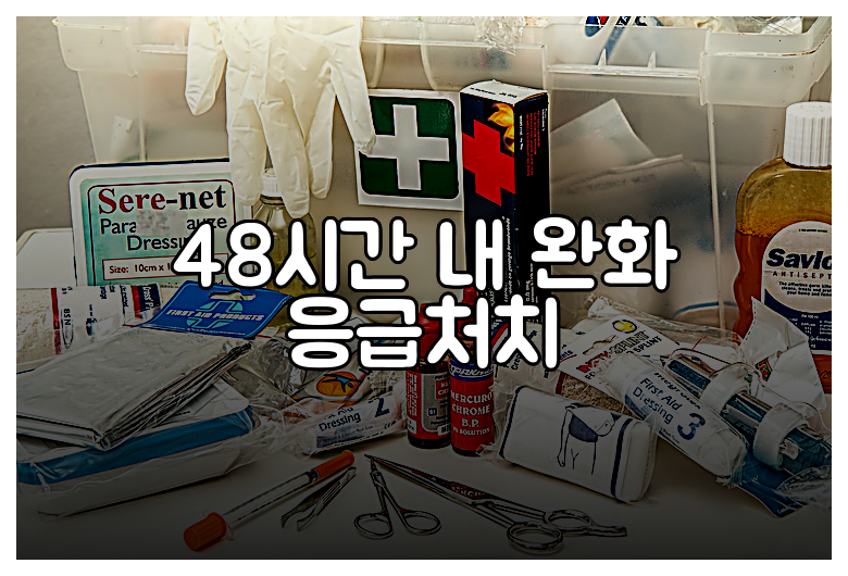 48시간 내 완화 응급처치
