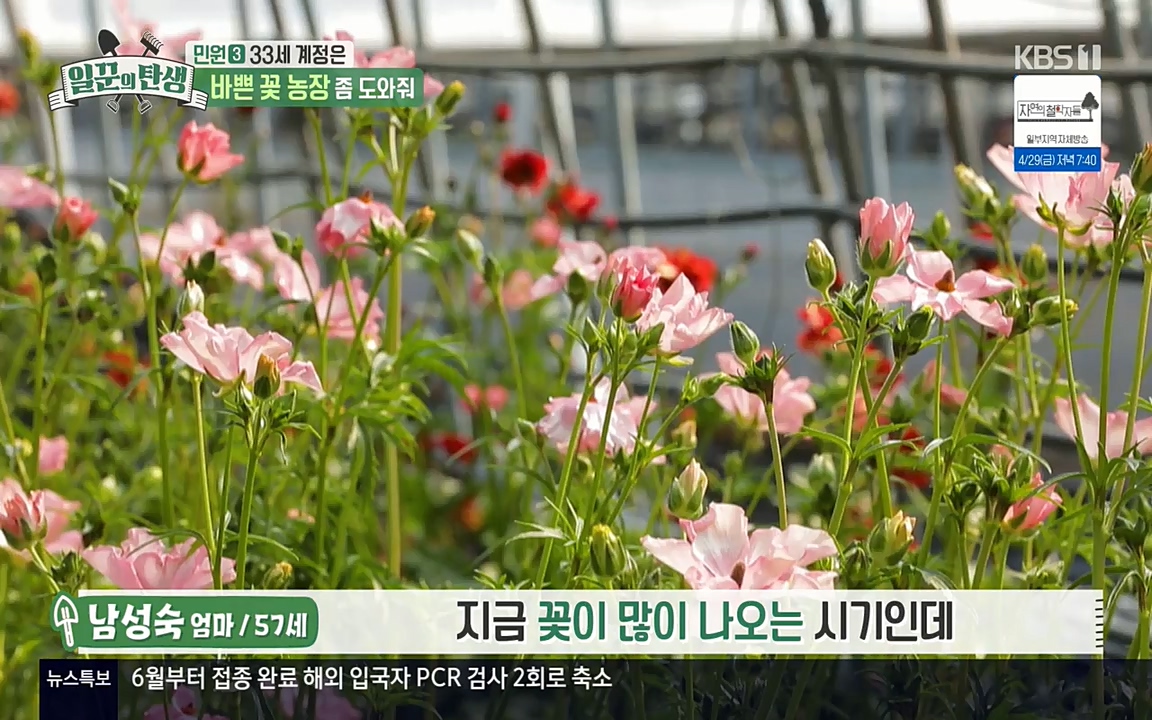 일꾼의 탄생.E21.220428p-NEXT.mp4_20220428_181921.786.jpg