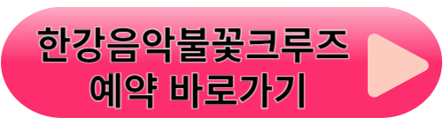 한강페스티벌여름