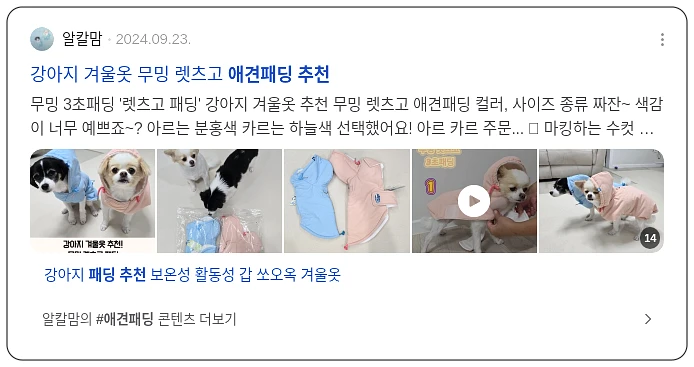 애견패딩 추천_2_subsection