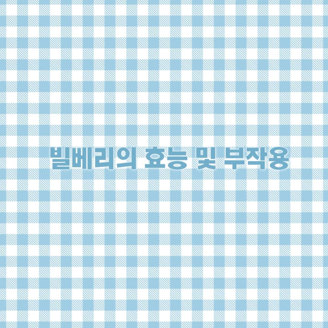 빌베리 이미지