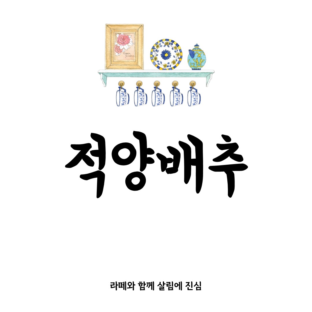적양배추 효능과 요리 먹는 법 완결판