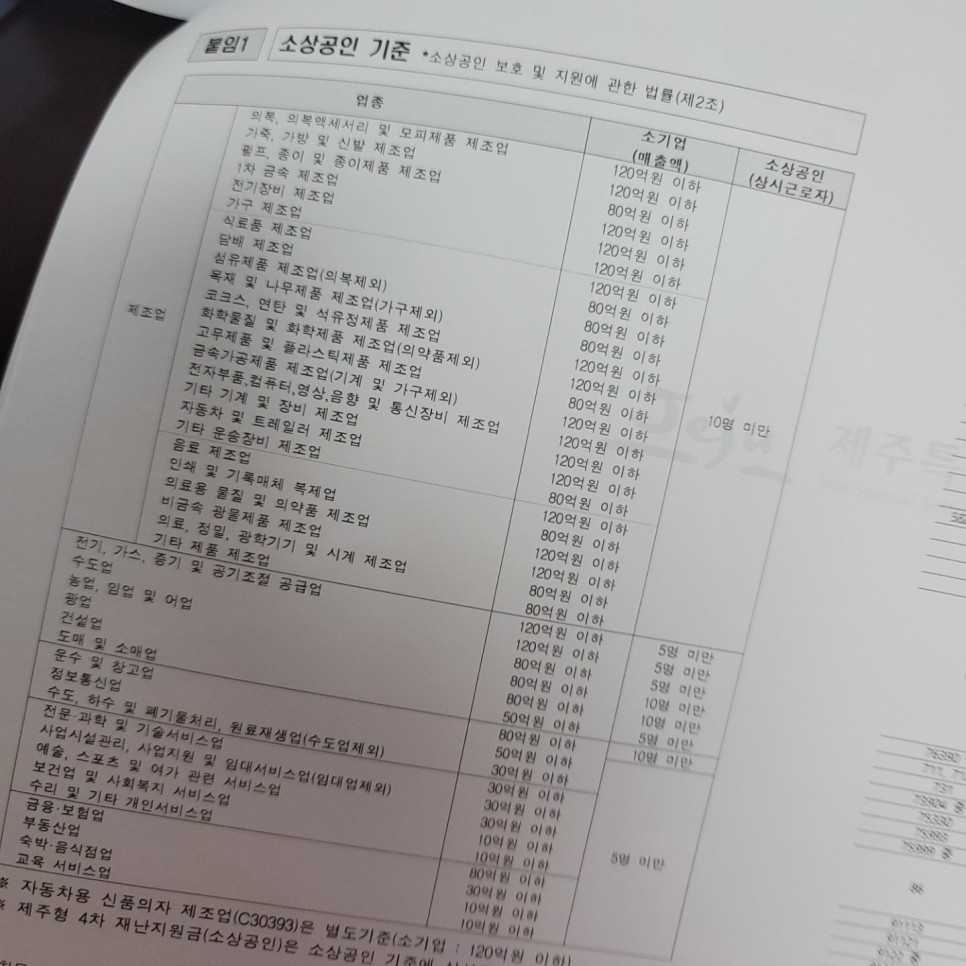 제주 소상공인 재난지원금 제주형 재난긴급생활지원금(소상공인) 9