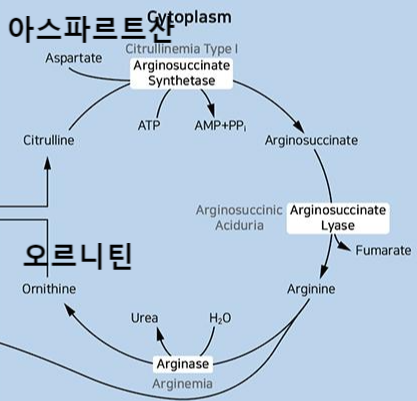 알트-변화