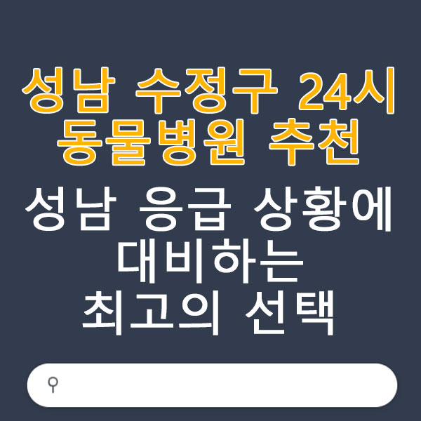 성남 수정구 24시 동물병원 잘하는 곳 추천 리스트 전화번호