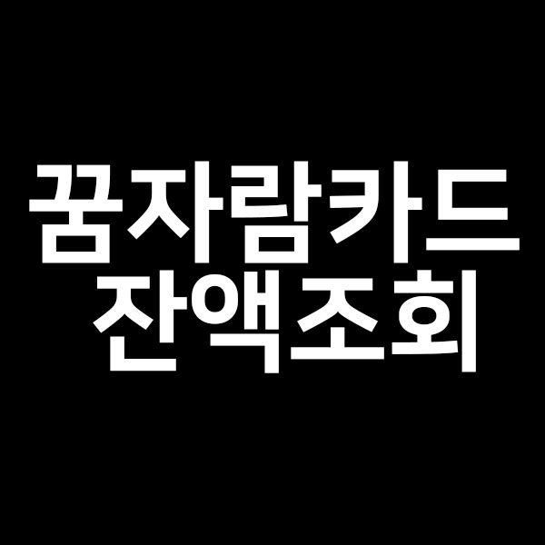  꿈자람카드 잔액조회을 알려드립니다