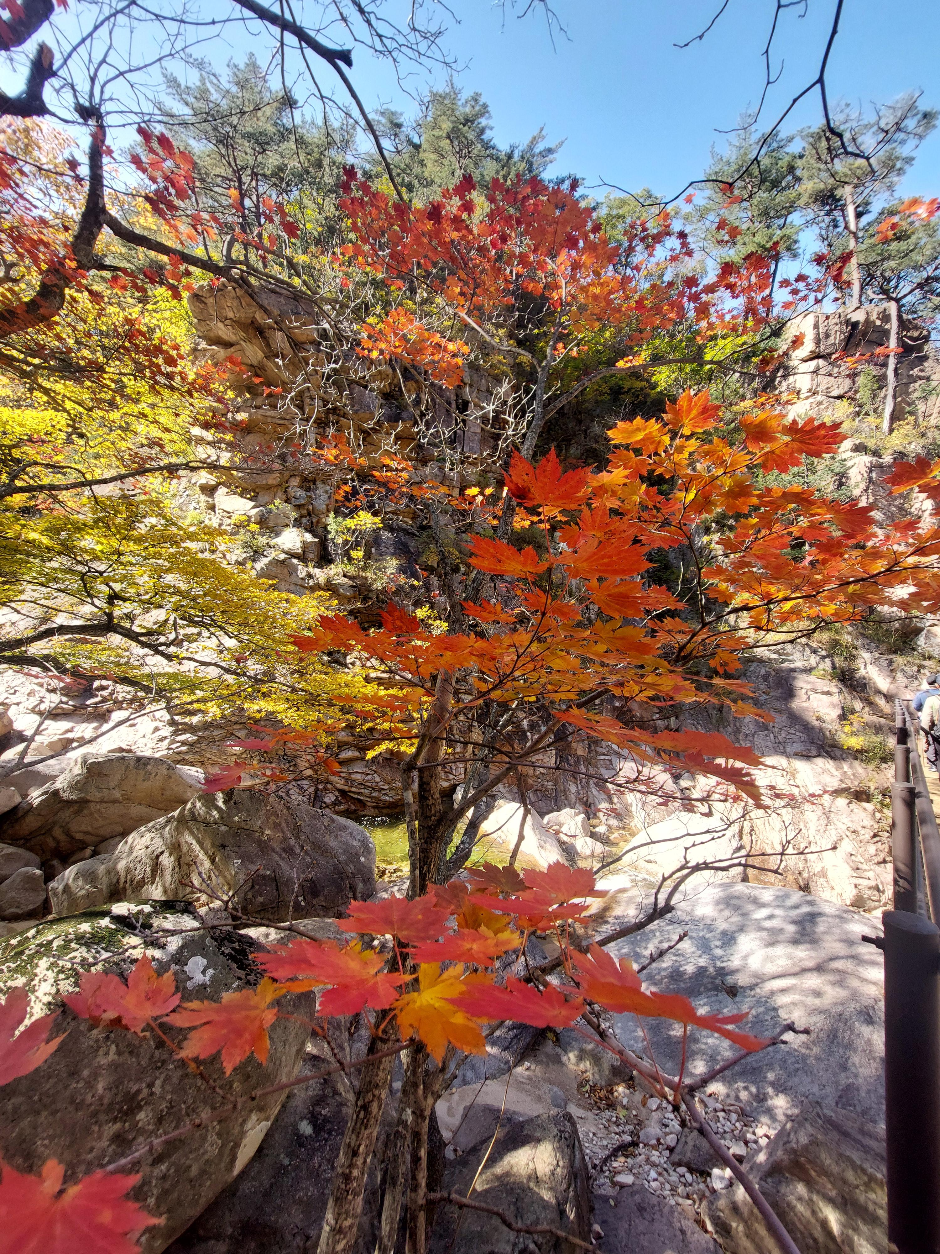 설악산