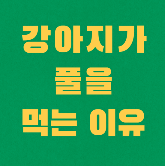  강아지가 풀을 먹는 이유