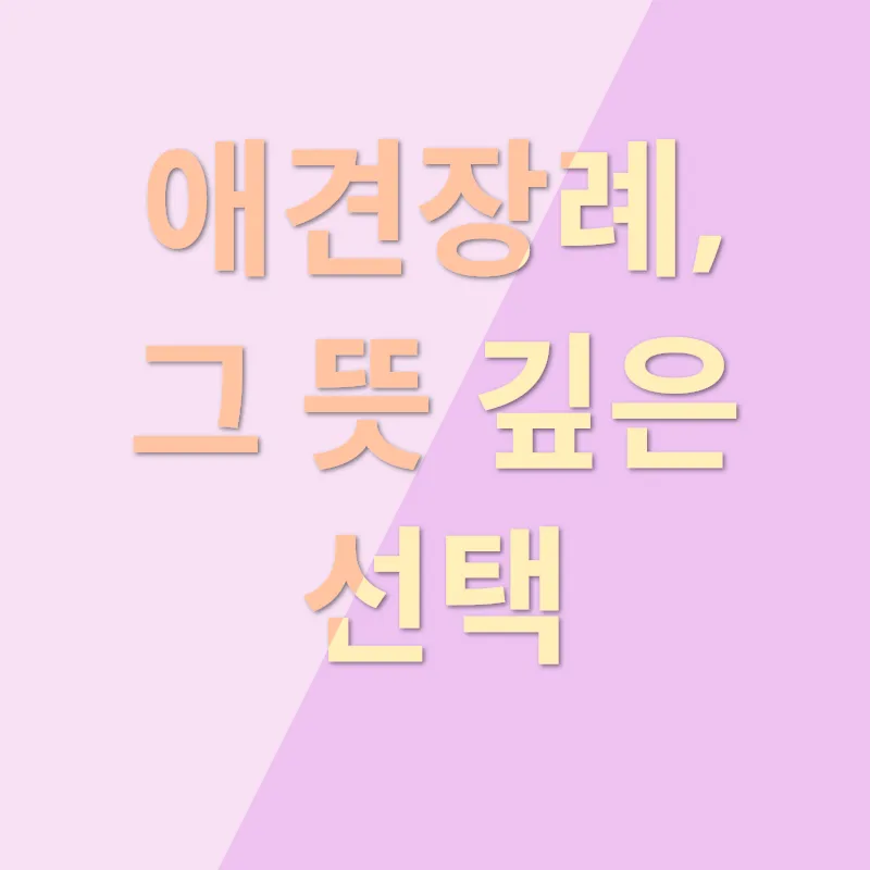애견장례_1
