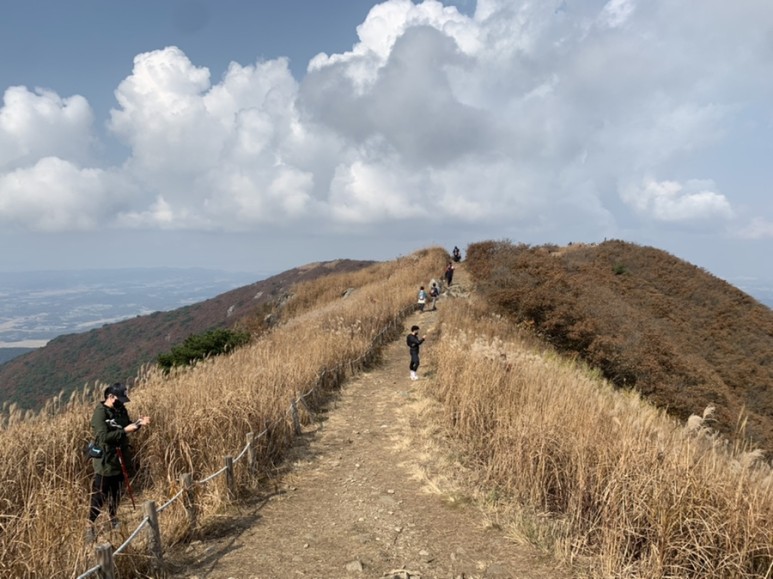 오서산 최단코스 [BAC 100대명산 / 보령 오서산 최단코스] 오서산자연휴양림 ~ 월정사 47