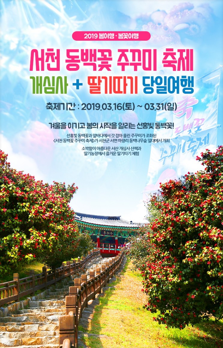 서천 동백죽축제와 논산딸기축제 13