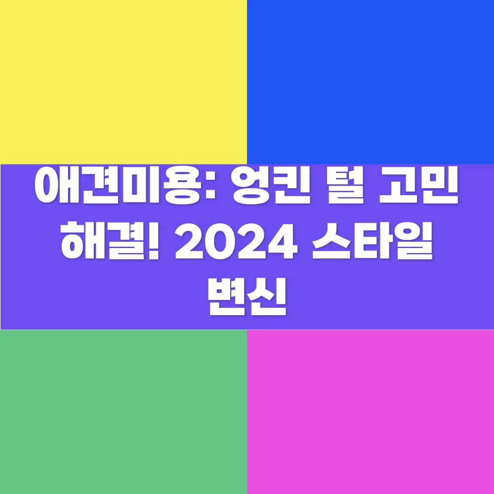 썸네일 이미지
