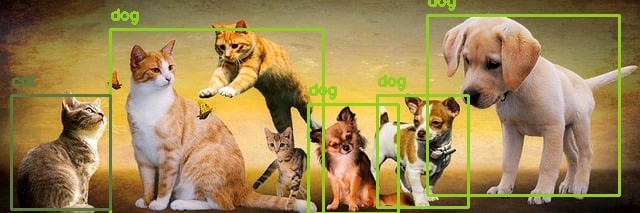  [OpenCV] 파이썬 사물 인식(Object Detection) 실습 코드 예제