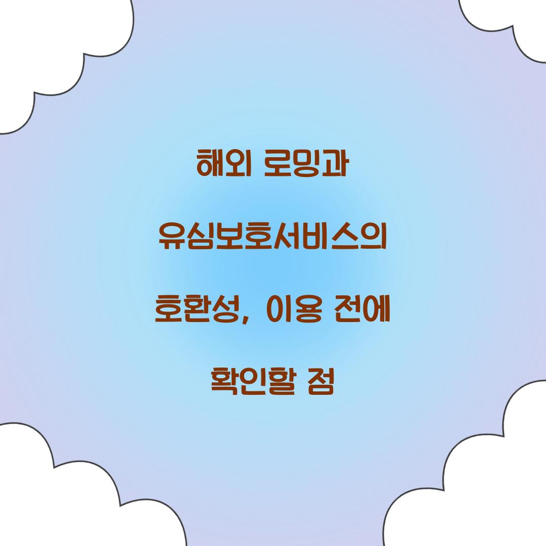 해외 로밍과 유심보호서비스의 호환성