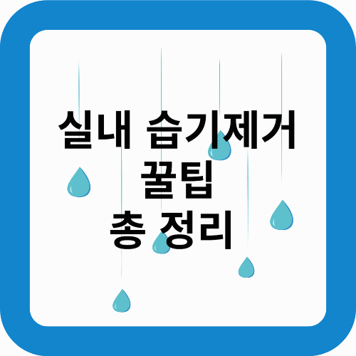 장마철 꿉꿉함 해결! 실내 습기 제거 꿀팁 총정리