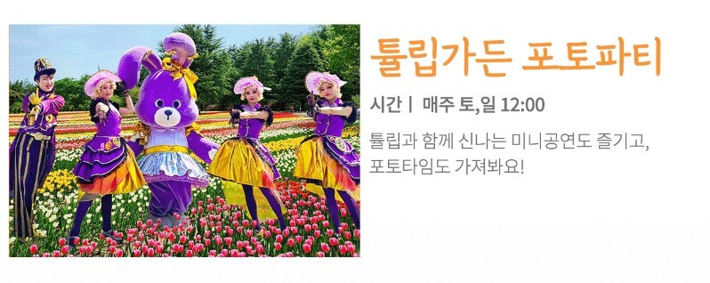 2025 대구 이월드 '튤립 트래블' 축제! : 네덜란드 감성 그대로 즐기는 봄 꽃 축제!