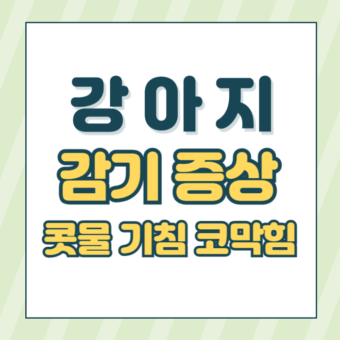 강아지 감기증상