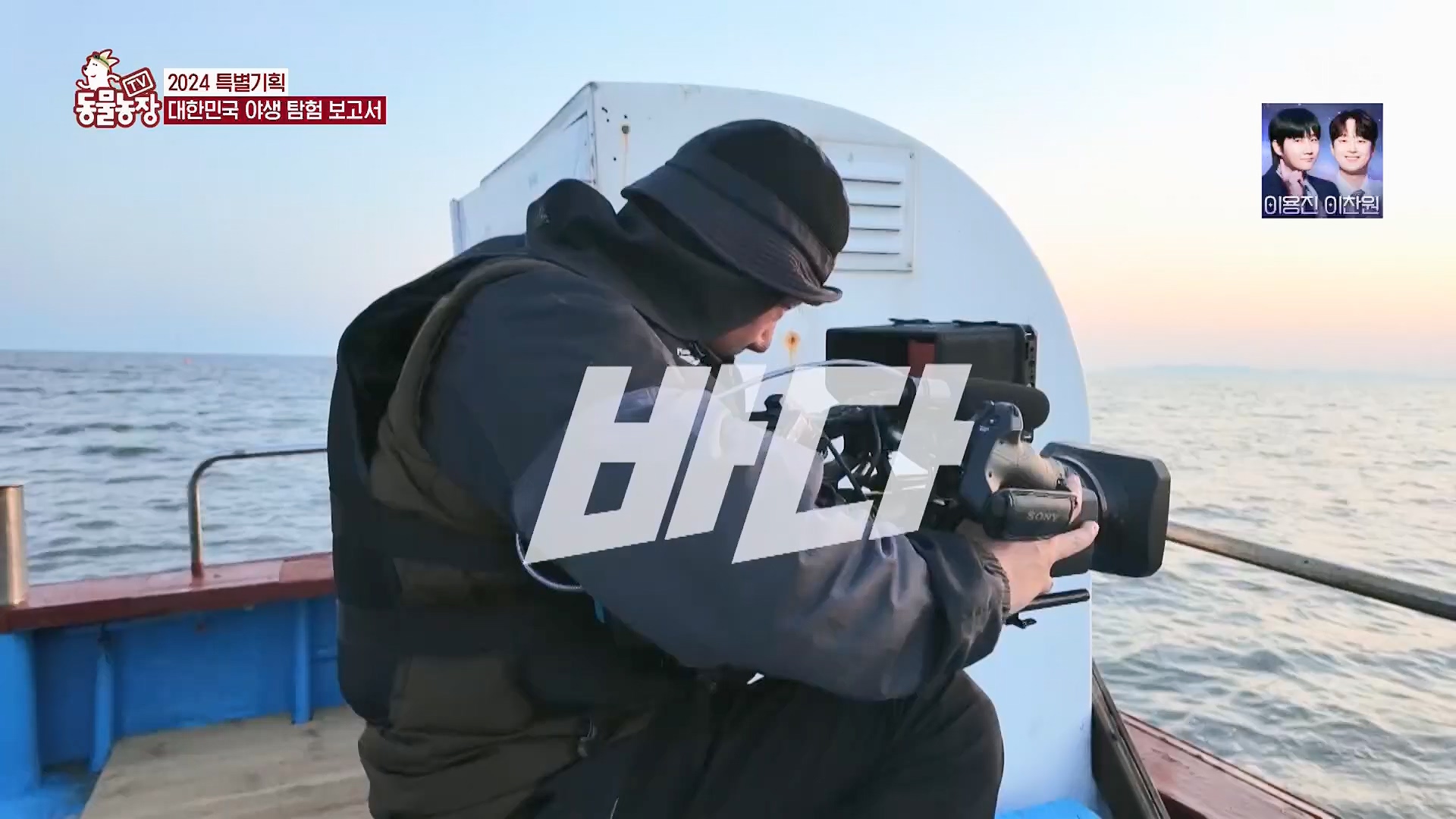 TV 동물농장.E1180.240714p.H264-F1RST.mp4_20240715_201724.349.jpg