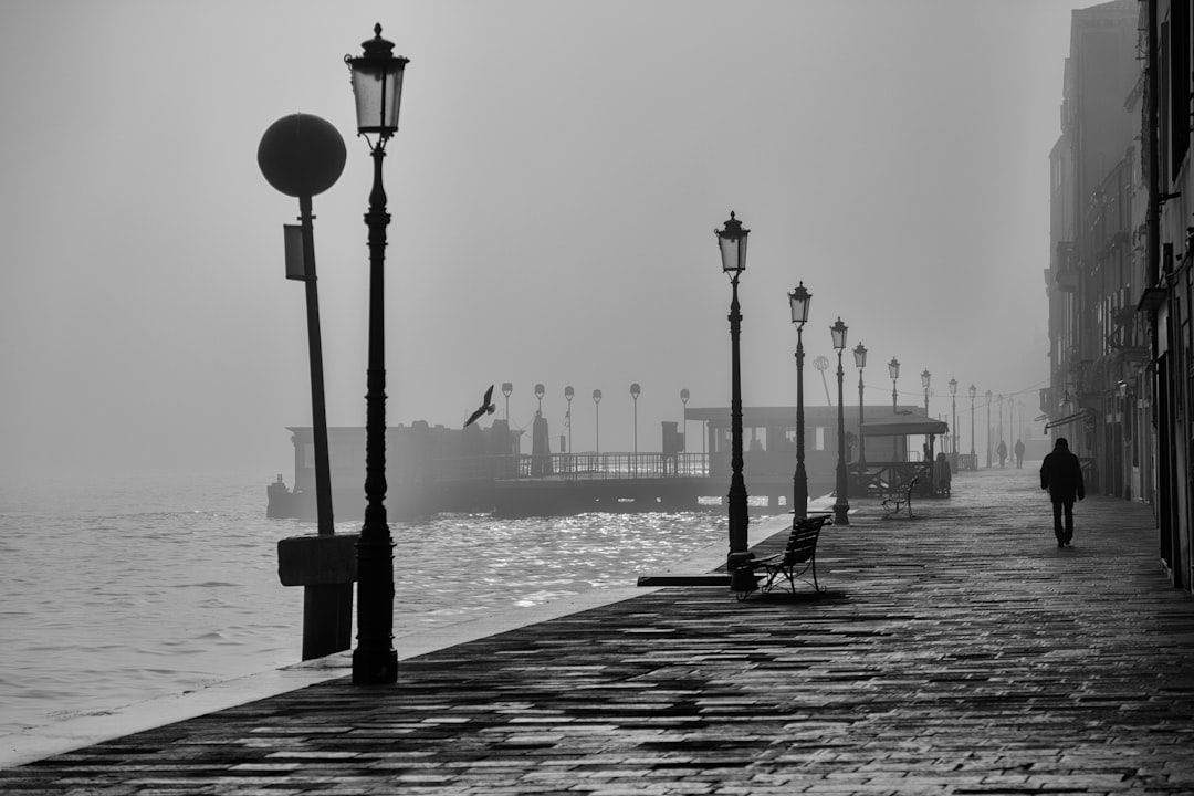 'Harbor'