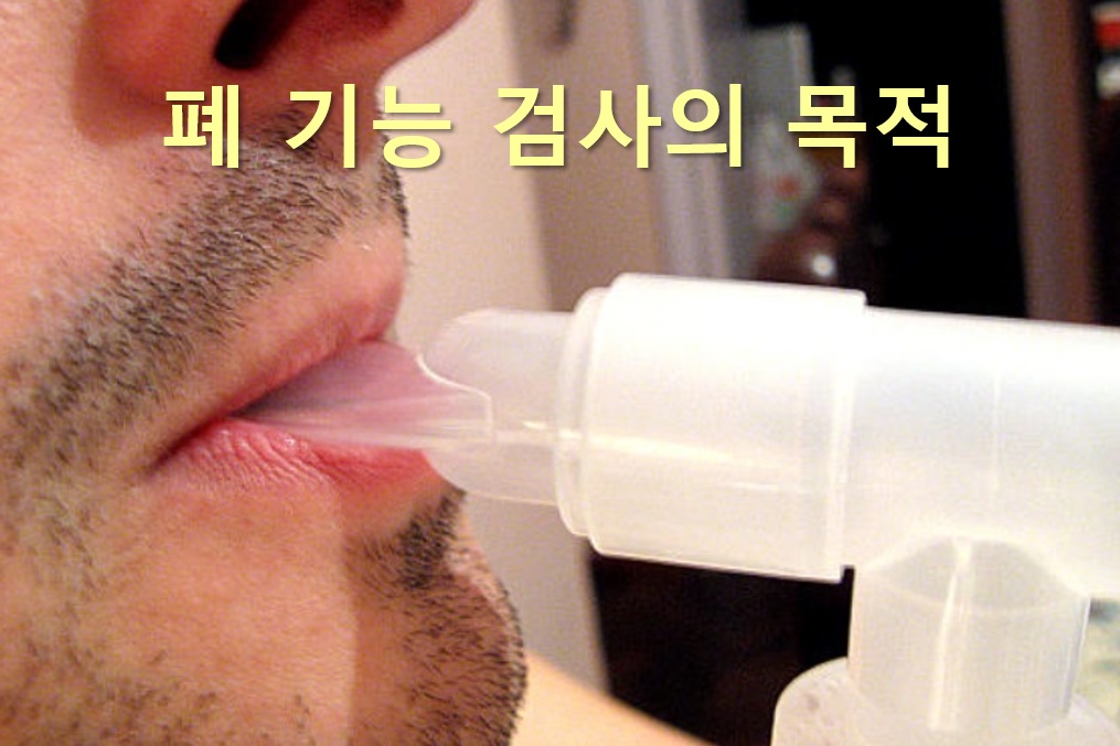  각종 환기 장애과 호흡기 질환을 진단하는 폐 기능 검사