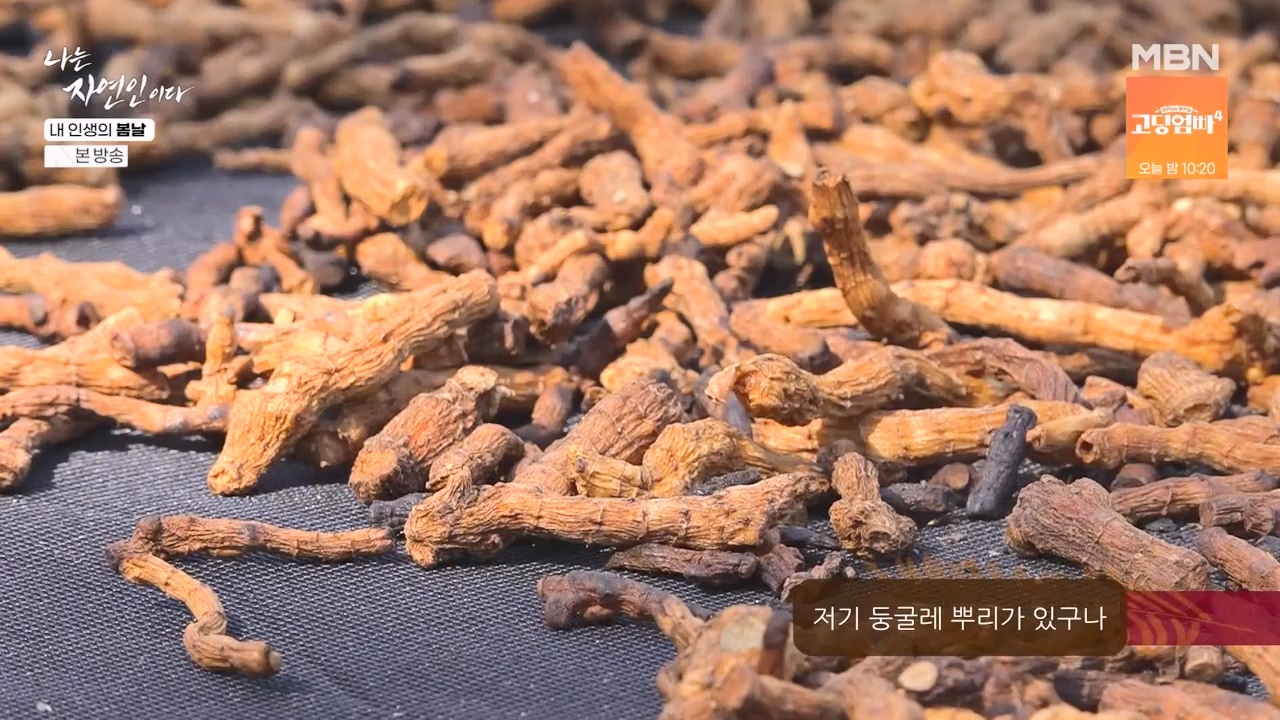 나는 자연인이다.E599.240328p-NEXT.mp4_20240328_195841.046.jpg