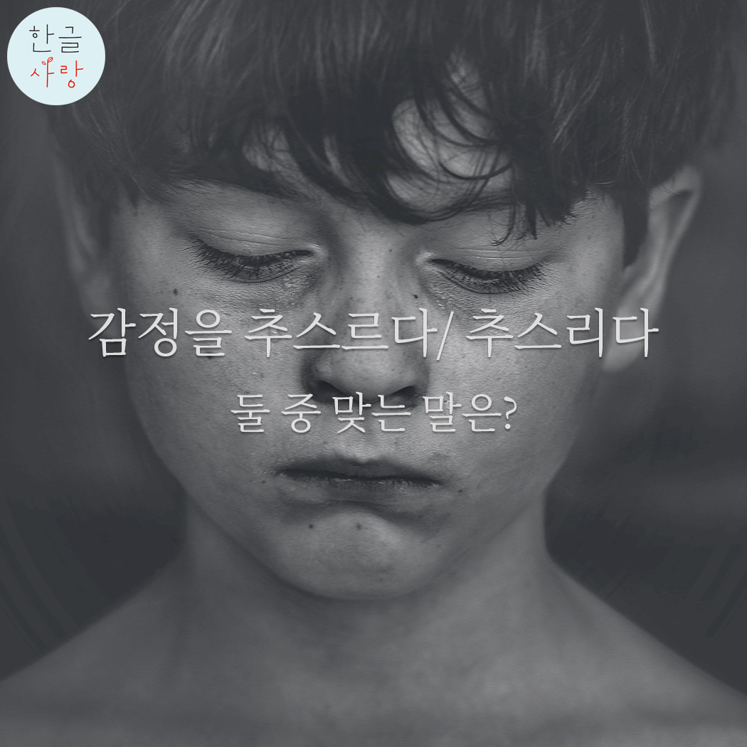  추스르다 / 추스리다 어느 쪽이 맞을까요?