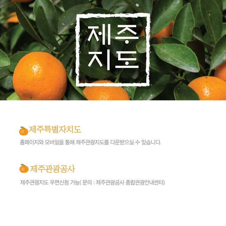  제주도 지도 챙겨 아날로그 제주여행 떠나요