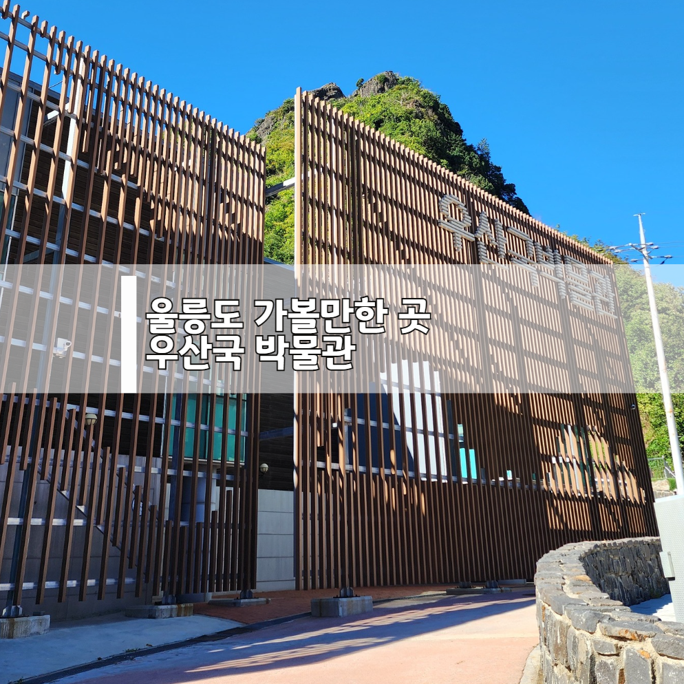 울릉도 우산국 박물관 완전 정복! 역사와 문화를 생생하게 체험하는 법