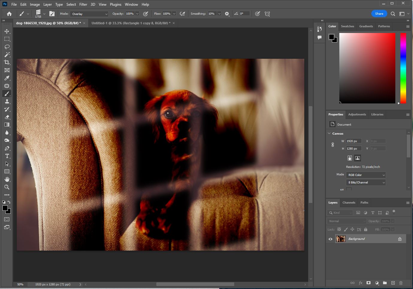 인공 빛 어둡게 만든 사진