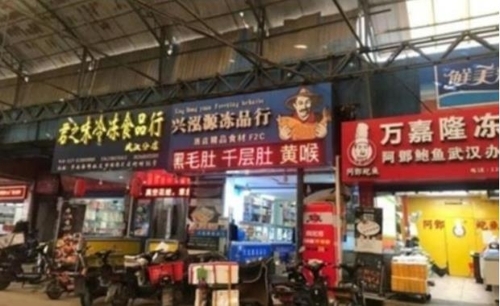 마이코플라즈마 폐렴