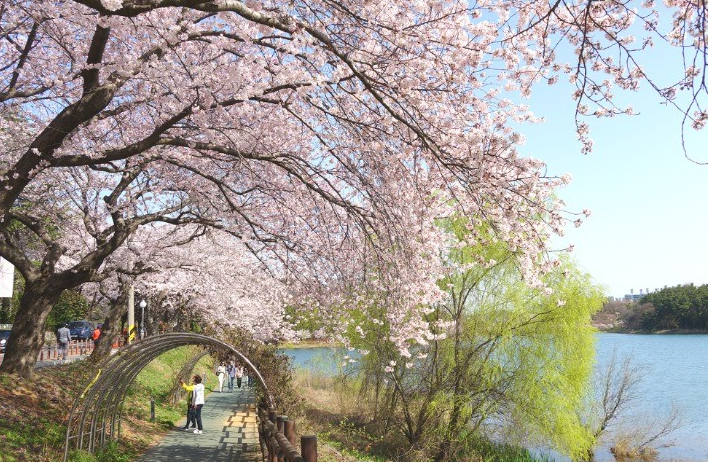 군산 은파호수공원