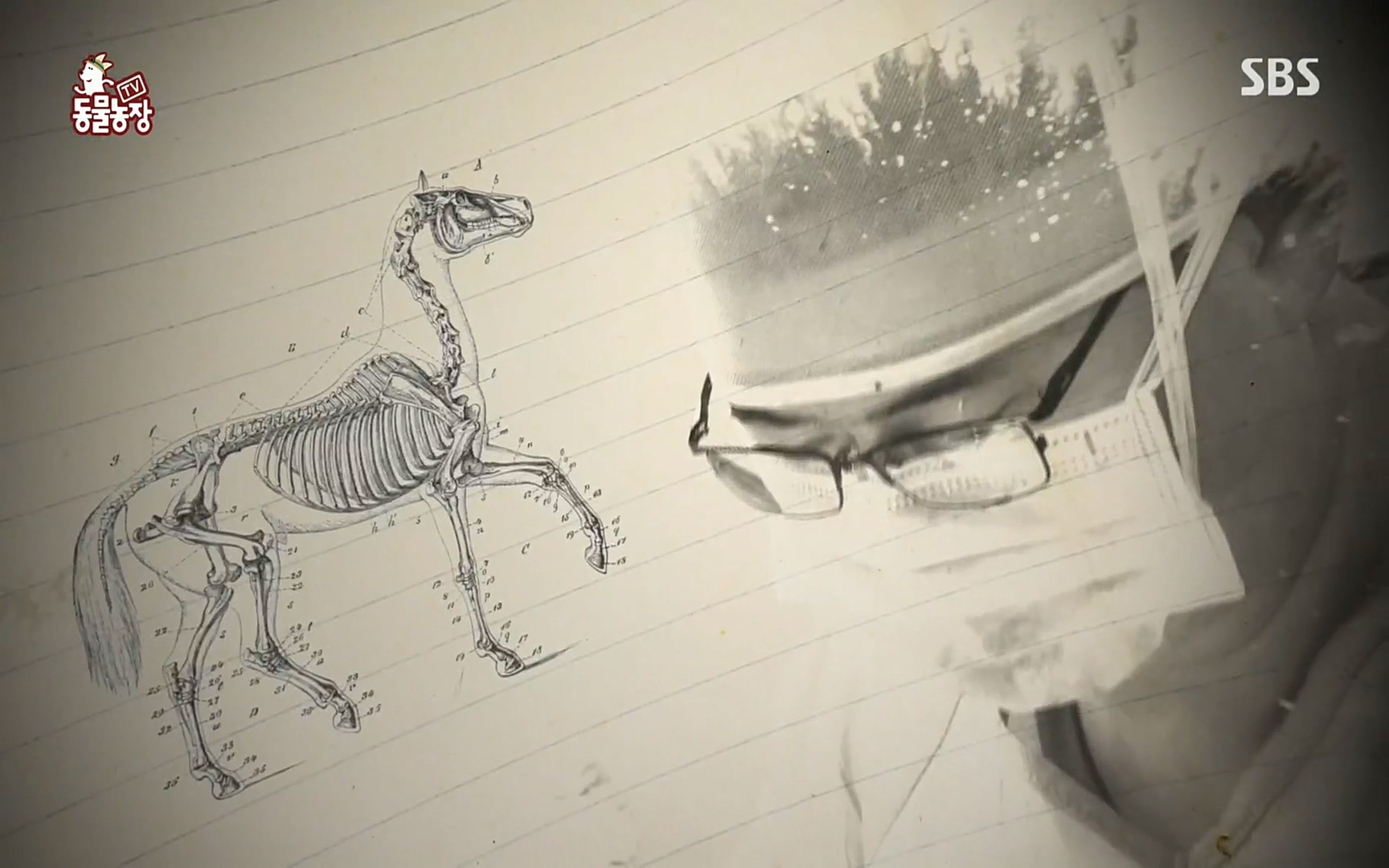 TV 동물농장.E1062.220327p.H264-F1RST.mp4_20220327_173357.778.jpg